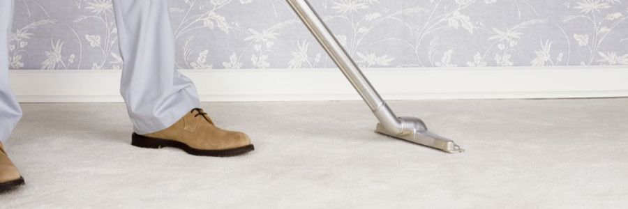 Cleaning a carpet with a steamer - The Carpet Doctor Inc.