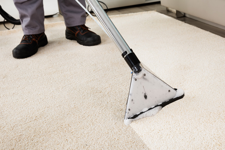 Carpet Cleaning - The Carpet Doctor Inc.